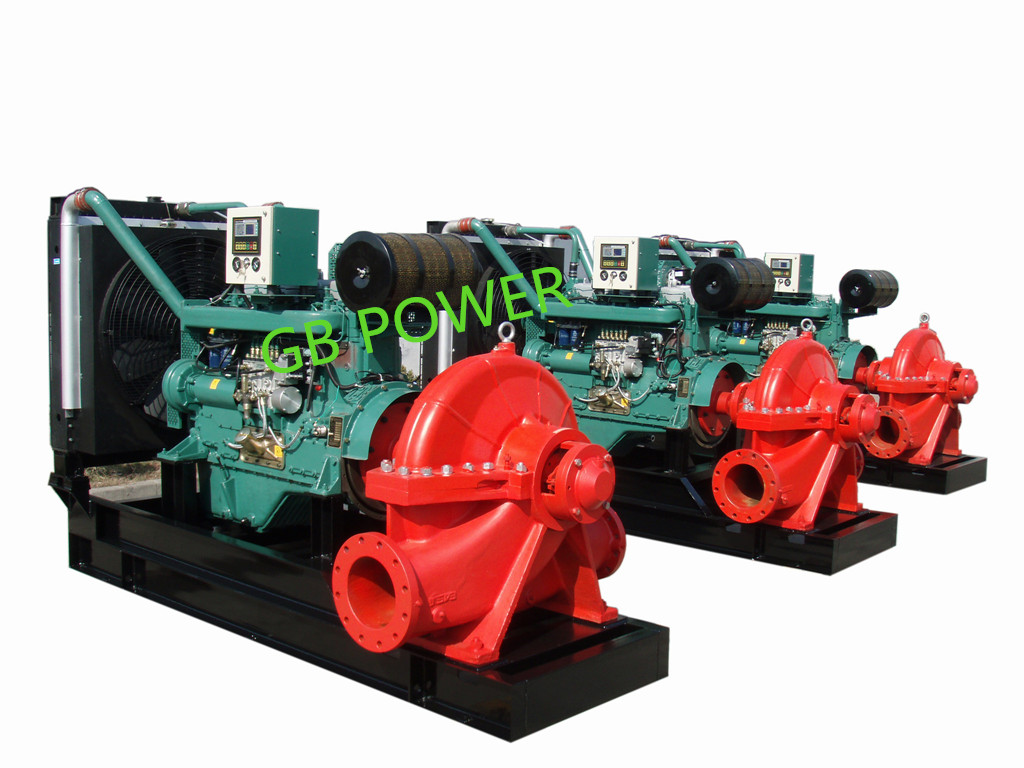 Diesel Pump Set