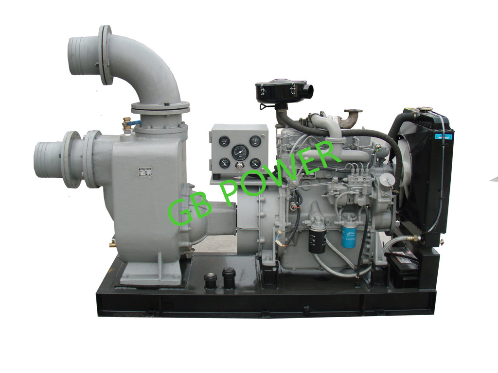 Self-Priming Sewage Pump